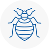 Bed Bug Extermination In Bedford
