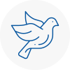 Bird Prevention Bedford