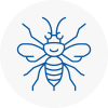 Bedford Hornet Nest Removals