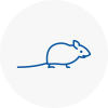 Mice Exterminators In Bedford