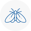 Moth Control Specialists In Bedford