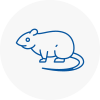 Rat Control Bedford
