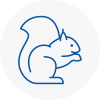 Bedford Rodent Removals