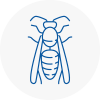 Bedford Wasp Nest Removal